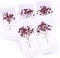Dark Red 70 Pcs Dried Babys Breath Pressed Flowers Bulk.Vacuum-Packed Mini Dried Babies Breath Flowe Specimen +2 Tweezers, for Resin Art /DIY Making Wedding Card/ Home Party Decor.